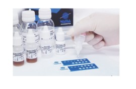 Ana-Hep-2 Imunofluorescência Imuno-Com - 100 Testes - WAMA